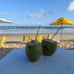 Noix de coco sur la plage au Brésil