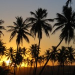 Coucher de soleil palmiers Bahia Brésil